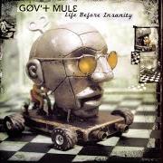 Le texte musical LIFE BEFORE INSANITY de GOV'T MULE est également présent dans l'album Life before insanity (2001)
