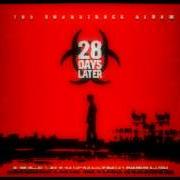 Le texte musical RISE ABOVE de 28 DAYS est également présent dans l'album 28 days (1998)