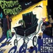 Le texte musical MY CAR de GROOVIE GHOULIES est également présent dans l'album Born in the basement (1996)