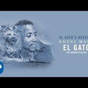 Le texte musical RICH ASS JUNKIE de GUCCI MANE est également présent dans l'album El gato the human glacier (2017)