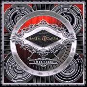 Le texte musical TROUBLED TIMES de HAREM SCAREM est également présent dans l'album Thirteen (2014)