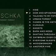 Le texte musical DEW AND SPIDERWEBS de HAUSCHKA est également présent dans l'album A different forest (2019)