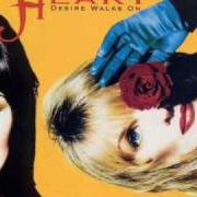 Le texte musical DESIRE WALKS ON de HEART est également présent dans l'album Desire walks on (1993)