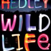 Le texte musical HEAVEN IN OUR HEADLIGHTS de HEDLEY est également présent dans l'album Wild life (2013)