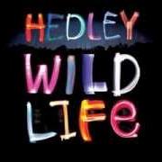 Le texte musical SINK OR SWIM de HEDLEY est également présent dans l'album Hedley (2005)