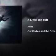 Le texte musical A BROTHER, A SON, A FRIEND, A LOVER de HEIRS est également présent dans l'album Our bodies and the ocean (2006)