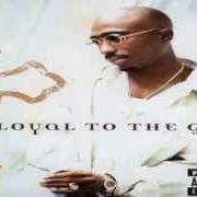 Le texte musical A CROOKED NIGGA TOO de 2PAC est également présent dans l'album Loyal to the game (2004)