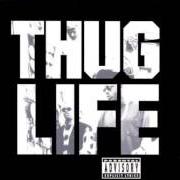 Le texte musical RESIST THE TEMPTATION de 2PAC est également présent dans l'album The best of 2pac - part 1: thug (2007)