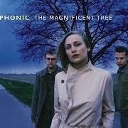 Le texte musical JACKIE CANE de HOOVERPHONIC est également présent dans l'album The magnificent tree (2000)