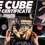 Le texte musical ROBIN LENCH de ICE CUBE est également présent dans l'album Death certificate (1991)