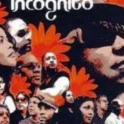 Le texte musical NIGHTS OVER EGYPT de INCOGNITO est également présent dans l'album Let the music play (2005)