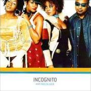 Le texte musical BYRD PLAYS de INCOGNITO est également présent dans l'album Who needs love (2003)