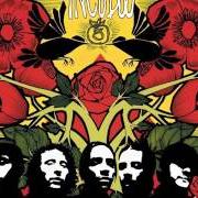 Le texte musical AGORAPHOBIA de INCUBUS est également présent dans l'album A crow left of the murder (2004)