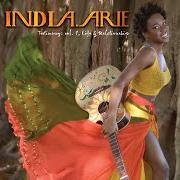 Le texte musical PRIVATE PARTY de INDIA.ARIE est également présent dans l'album Testimony: vol. 1, life & relationship (2006)