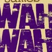 Le texte musical RHYTHMIC DREAMS de JAMES est également présent dans l'album Wah wah (1994)