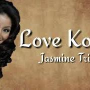 Le texte musical JUST A FOOL de JASMINE TRIAS est également présent dans l'album Jasmine trias (2005)