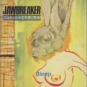 Le texte musical P S NEW YORK IS BURNING de JAWBREAKER est également présent dans l'album Bivouac (1992)