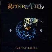 Le texte musical OCCASIONAL DEMONS de JETHRO TULL est également présent dans l'album Catfish rising (1991)