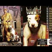 Le texte musical EL GRITO DE GUERRA de ALEXIS Y FIDO est également présent dans l'album The pitbulls (2005)