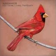 Le texte musical YOUNG CARDINALS de ALEXISONFIRE est également présent dans l'album Old crows / young cardinals (2009)