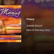 Le texte musical SHAKE US AGAIN de JUANITA BYNUM est également présent dans l'album Morning glory, vol. 1: peace (1999)