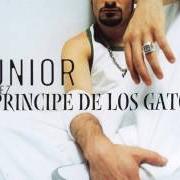 Le texte musical CHOCOLATE de JUNIOR MIGUEZ est également présent dans l'album Príncipe de los gatos (2003)