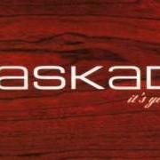 Le texte musical IT'S YOU, IT'S ME de KASKADE est également présent dans l'album It's you, it's me (2003)