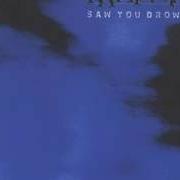 Le texte musical SCARLET HEAVENS de KATATONIA est également présent dans l'album Saw you drown (1998)