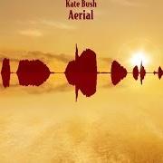 Le texte musical AN ARCHITECT'S DREAM de KATE BUSH est également présent dans l'album Aerial (2005)