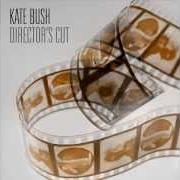 Le texte musical DEEPER UNDERSTANDING de KATE BUSH est également présent dans l'album Director's cut (2011)