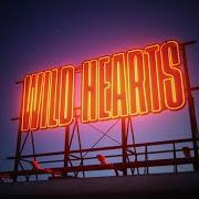 Le texte musical NIGHTFALLS de KEITH URBAN est également présent dans l'album Wild hearts (2022)