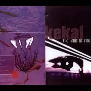 Le texte musical HISTORICITY AND STATE OF MIND (PART II OF DICTATORSHIP) de KEKAL est également présent dans l'album The habit of fire (2007)
