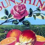 Le texte musical BIG SHIP GLORY de THE KINGSTON TRIO est également présent dans l'album Looking for the sunshine (1983)