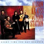 Le texte musical IT WON'T WORK THIS TIME de ALISON KRAUSS est également présent dans l'album Every time you say goodbye (1992)