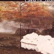 Le texte musical PAGAN WISH de LAKE OF TEARS est également présent dans l'album Forever autumn (1999)