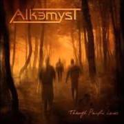 Le texte musical ANOTHER YOU de ALKEMYST est également présent dans l'album Through painful lanes (2008)