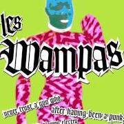 Le texte musical MANU CHAO de LES WAMPAS est également présent dans l'album Never trust a guy who after having been a punk, is now playing electro (2003)