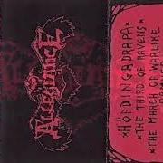 Le texte musical HÖVFDINGADRAPA de ALLEGIANCE (SWEDEN) est également présent dans l'album Hövfdingadrapa - demo (1994)