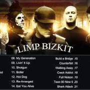 Le texte musical MY WAY de LIMP BIZKIT est également présent dans l'album Greatest hits (2005)