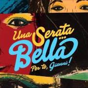 Le texte musical I RAGAZZI ITALIANI de LOREDANA BERTÈ est également présent dans l'album Bertilation (2008)