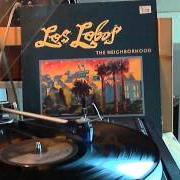 Le texte musical JENNY'S GOT A PONY de LOS LOBOS est également présent dans l'album The neighborhood (1990)