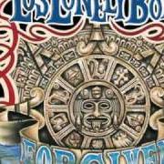 Le texte musical YOU CAN'T SEE THE LIGHT de LOS LONELY BOYS est également présent dans l'album Forgiven (2008)