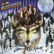 Le texte musical COMO TU de LOS TEMERARIOS est également présent dans l'album Camino del amor (1995)