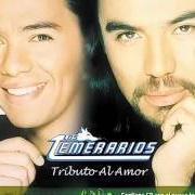 Le texte musical CREO QUE VOY A LLORAR de LOS TEMERARIOS est également présent dans l'album Tributo al amor (2003)