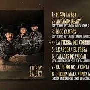 Le texte musical YO SOY LA LEY de LOS TUCANES DE TIJUANA est également présent dans l'album Yo soy la ley (2026)