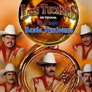 Le texte musical EL CACHORRO de LOS TUCANES DE TIJUANA est également présent dans l'album Los tucanes de tijuana (2002)
