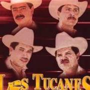 Le texte musical TUS QUINCE AÑOS de LOS TUCANES DE TIJUANA est également présent dans l'album Tú eres (2000)