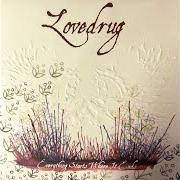 Le texte musical AMERICAN SWIMMING LESSON de LOVEDRUG est également présent dans l'album Everything starts where it ends (2007)