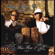 Mas flow 2.5 Mas flow 2.5
