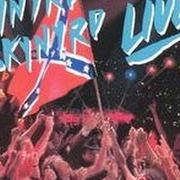 Le texte musical SWAMP MUSIC de LYNYRD SKYNYRD est également présent dans l'album Southern by the grace of god (1988)
